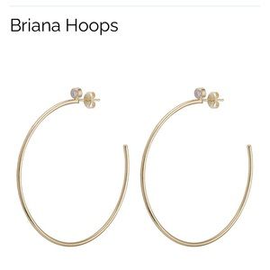 Sheila Fajl Briana Hoops